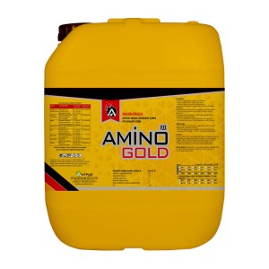 aminogold 20 lt kopya
